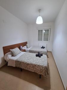 ImagenDos Torres Aragorn 9