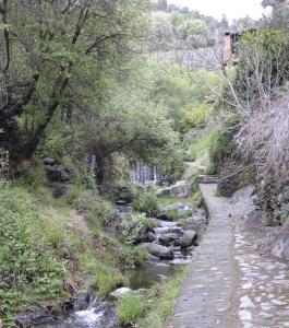 ImagenCasa Rural La Ortiga 3