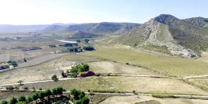 ImagenCasa del Procurador 6