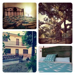 ImagenAmbroz y Plata 3