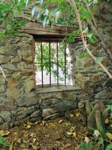 ImagenAmbroz y Plata 4