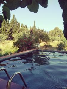 ImagenChilliman & Mas Miró Biofarm 7