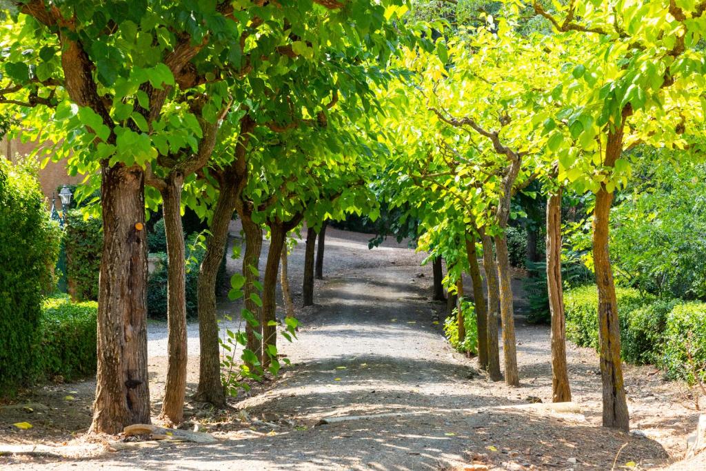 Hotel Rural y Apartamentos Villa Engraciaimagen principal