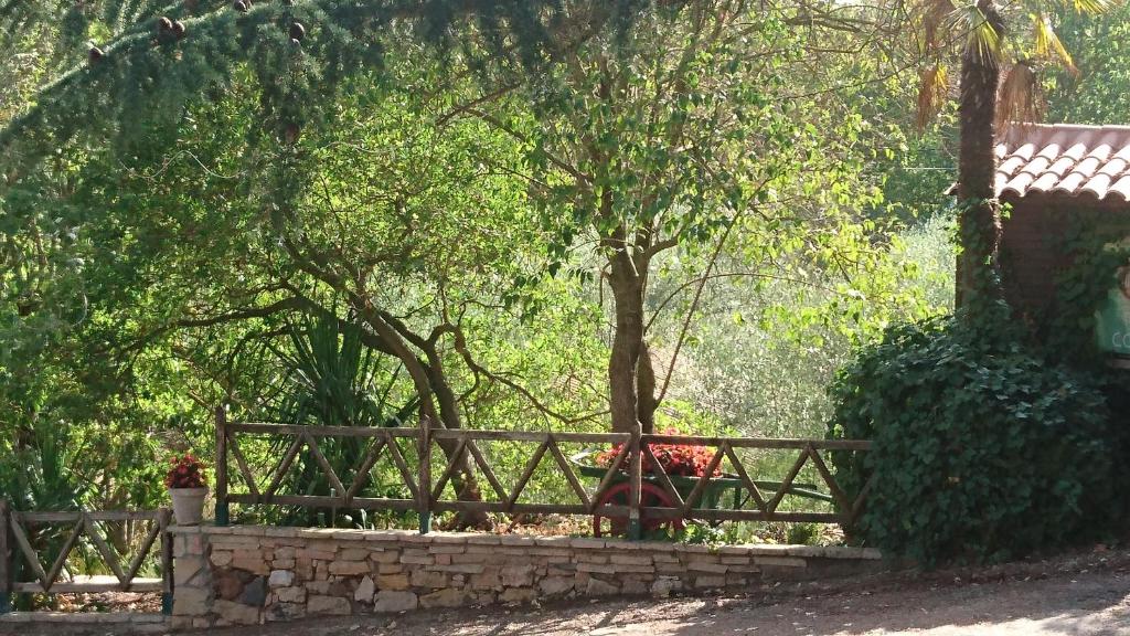 Masia Saguésimagen principal