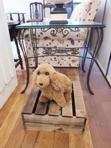 ImagenHotel Zarauz 5