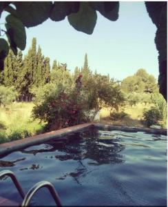 ImagenChilliman & Mas Miró Biofarm 6