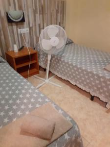 ImagenPension Fonda Suiza 6