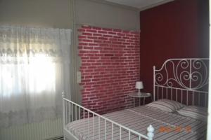 Imagenel Pi de la Selva 6