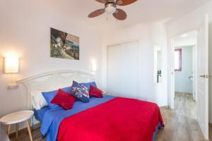 ImagenShore Evamar 6