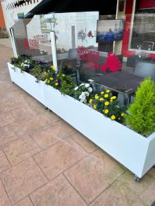 ImagenAlbergue Rincón del Peregrino Porriño 6