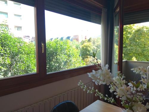 ImagenAmezola Park 2