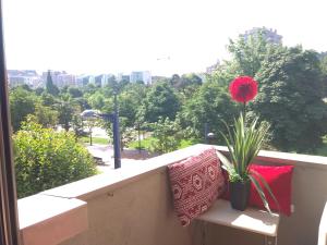 ImagenAmezola Park 4