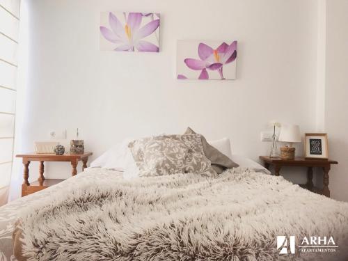 ImagenApartamentos Arha 2