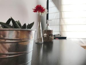 ImagenApartamentos Arha 5