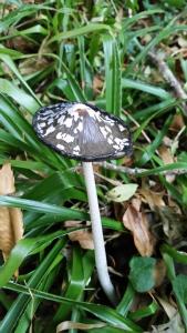 ImagenAlbergue de Portilla 3