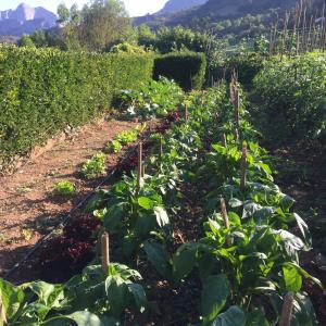 ImagenMirador De Picos 6