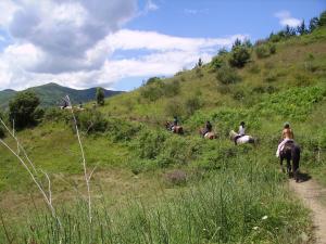 ImagenHotel Infantado 4