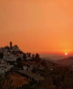 ImagenAPAR. SIERRAGUADALQUIVIR 6