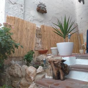 ImagenLa casa azul de Belerda 8