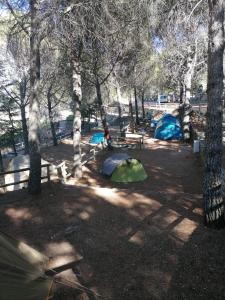 ImagenCamping TajoRodillo 8