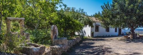 ImagenFinca el tesorillo 2