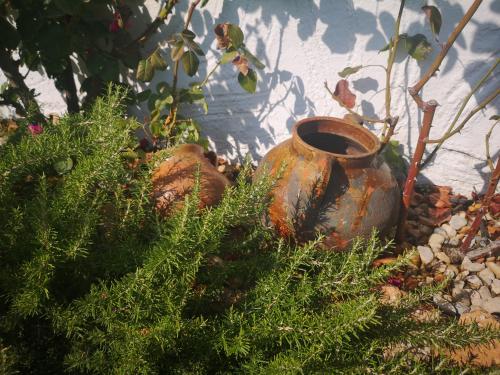 ImagenCasa la serena 1