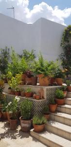 ImagenCasa Rural los Danzantes 5