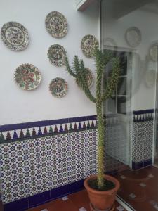 ImagenCasa de las Lanzas 6