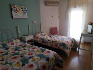 ImagenHostal Ruta Del Sur 3