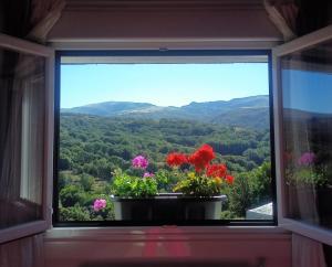 ImagenVista Estrelada 4