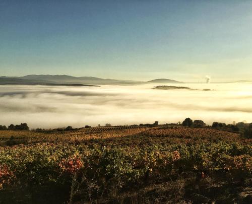 ImagenLas Doñas del Portazgo 1