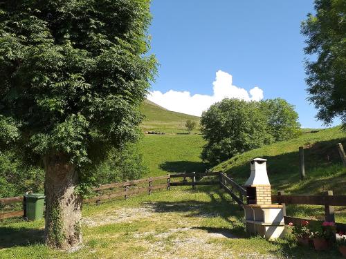 ImagenCasuca Pico Jiniro 2