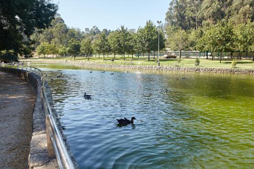 ImagenGándara Chalet 1