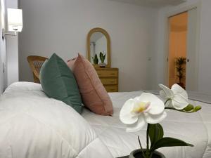 ImagenApartamento Padrón Centro, Camino De Santiago ll by URent 4