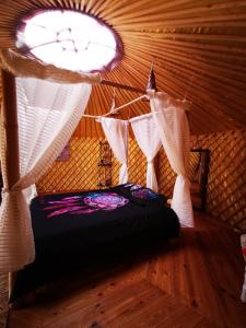 ImagenKikiki House 3