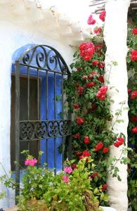 ImagenCasa Rural Aloe Vera 6