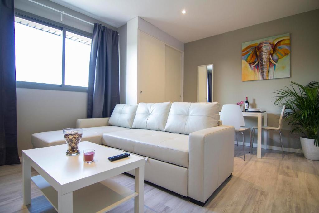 estudio santa mariaimagen principal