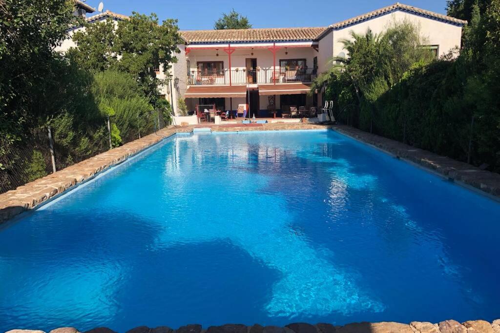 Donde parece que el Sol naceimagen principal