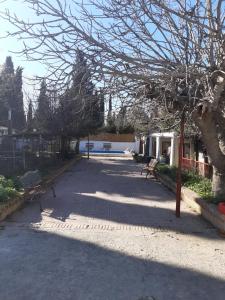 ImagenUrbano y Natural 5