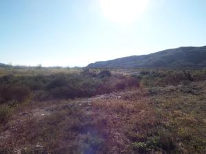 ImagenCortijo Esperanza 4