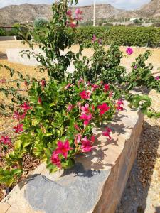 ImagenCasa Rural Mas Solana 6