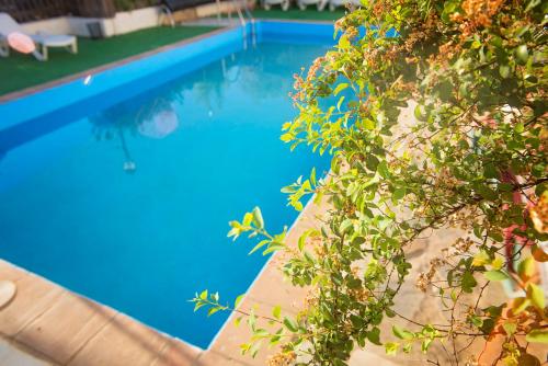 ImagenCuevas de Rolando 2