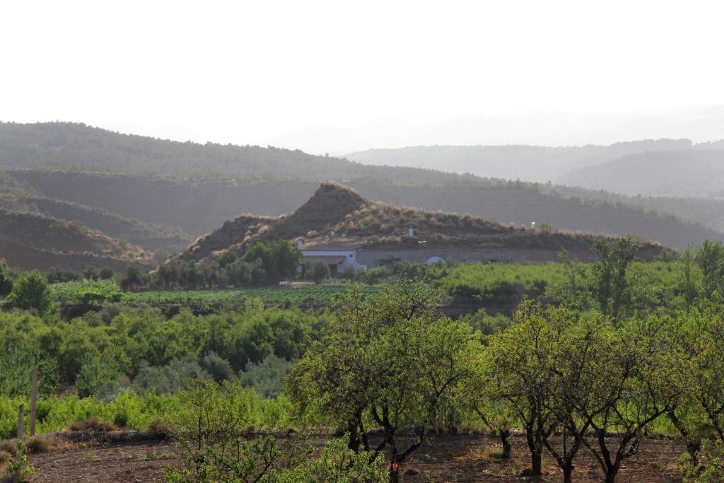 Cuevas Cañada de las Piedrasimagen principal