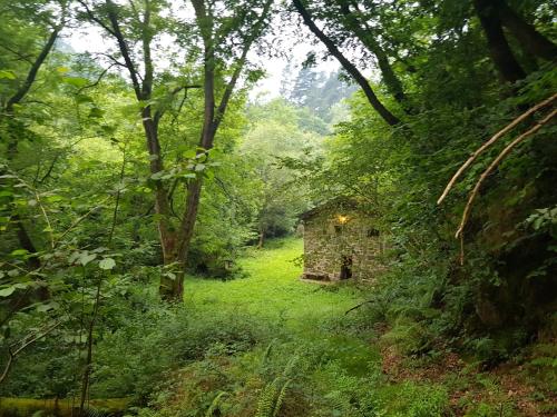 ImagenCasa del rio 1