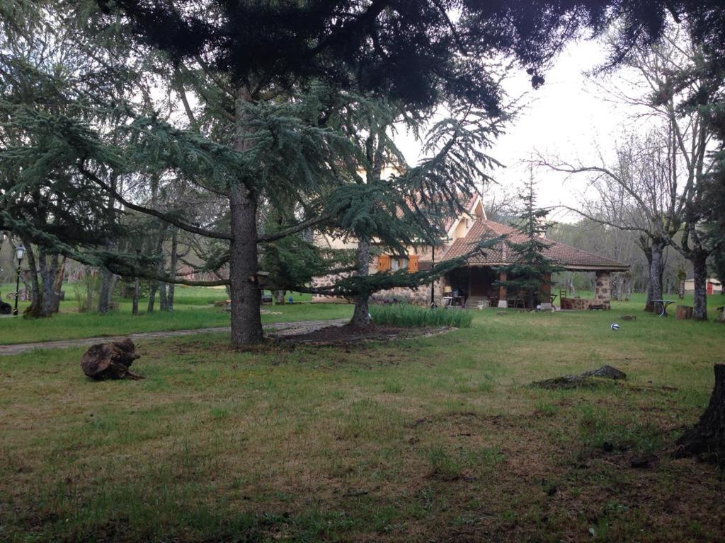 Exclusiva Casa y Finca Privada ITOSimagen principal