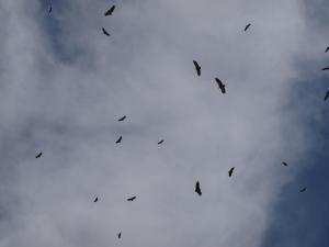 ImagenAlbergue Fresno de Cantespino - La Tormenta 4