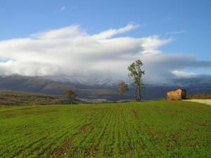 ImagenMolino De La Ferrería 8