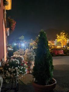 ImagenHotel El Torrejón 5