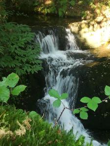 ImagenApartamentos lagunas 7