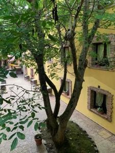 ImagenHotel El Bricial 6